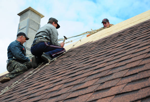 Roof Gutter Cleaning in Skokie, IL